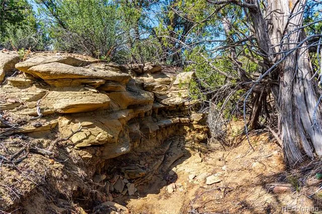 TBD L Bandito Trail Florence, CO 81226