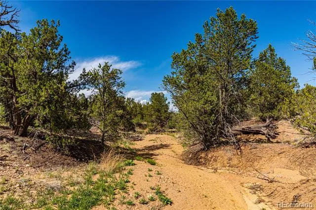 TBD L Bandito Trail Florence, CO 81226