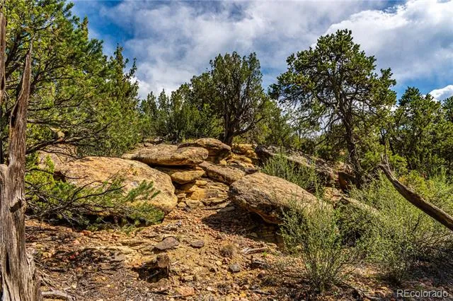 TBD L Bandito Trail Florence, CO 81226