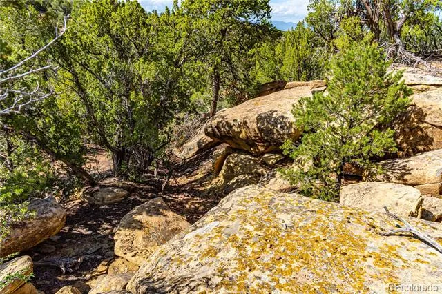 TBD L Bandito Trail Florence, CO 81226