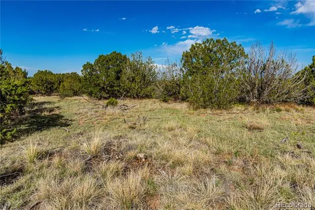 TBD L Bandito Trail Florence, CO 81226