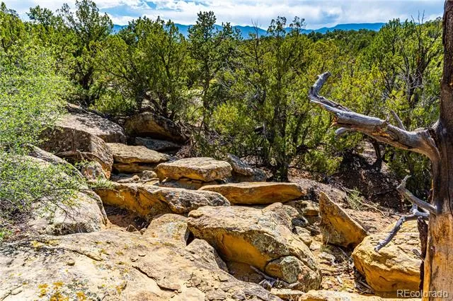 TBD L Bandito Trail Florence, CO 81226