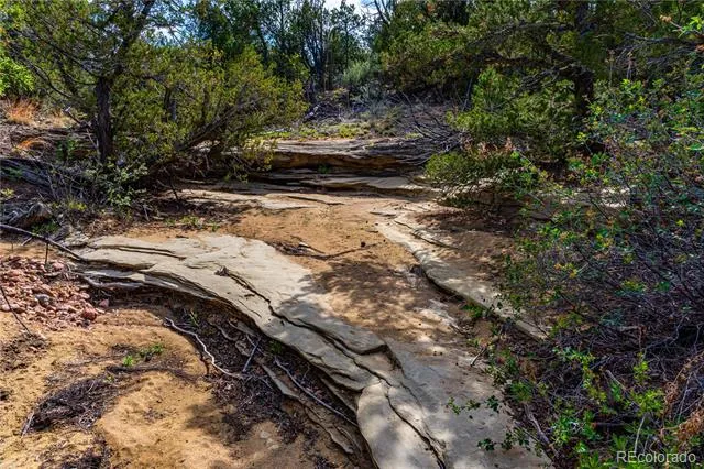 TBD L Bandito Trail Florence, CO 81226