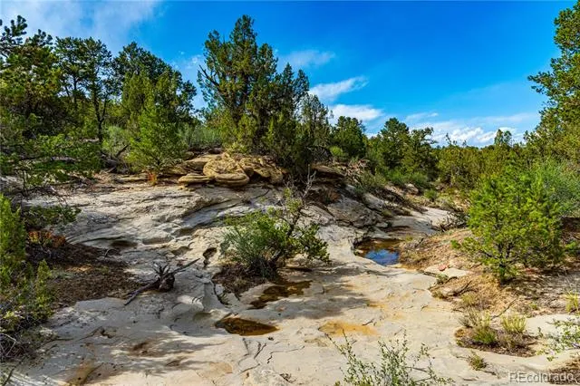 TBD L Bandito Trail Florence, CO 81226