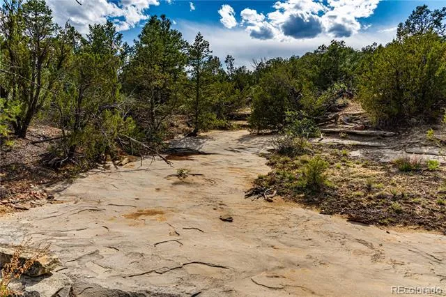 TBD L Bandito Trail Florence, CO 81226
