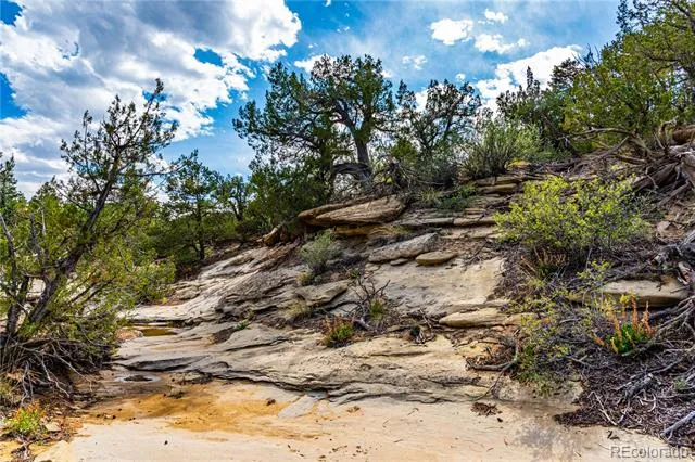 TBD L Bandito Trail Florence, CO 81226