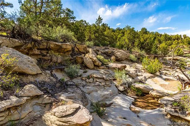 TBD L Bandito Trail Florence, CO 81226