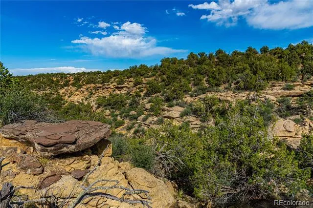 TBD L Bandito Trail Florence, CO 81226