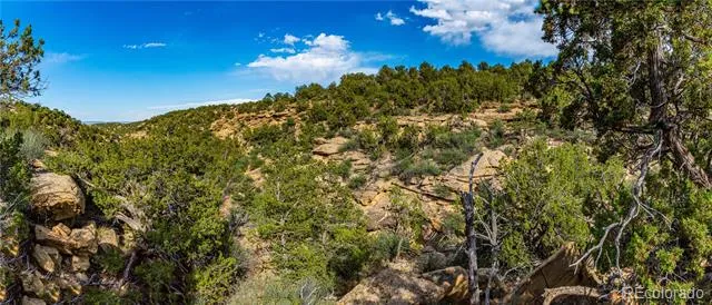 TBD L Bandito Trail Florence, CO 81226
