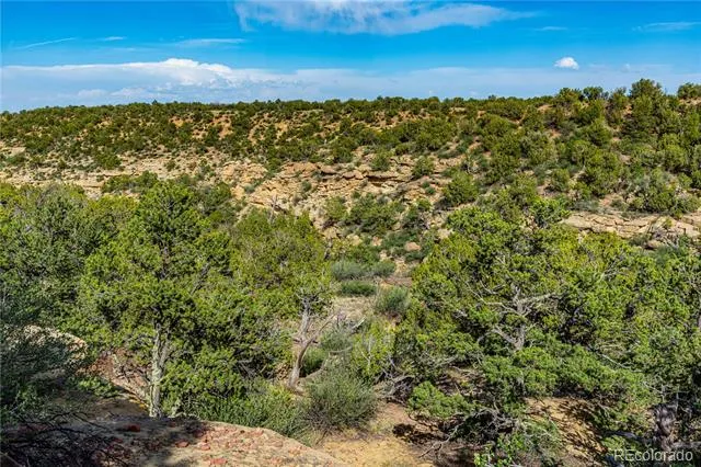 TBD L Bandito Trail Florence, CO 81226