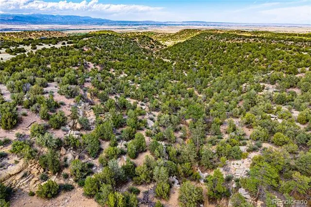 TBD L Bandito Trail Florence, CO 81226