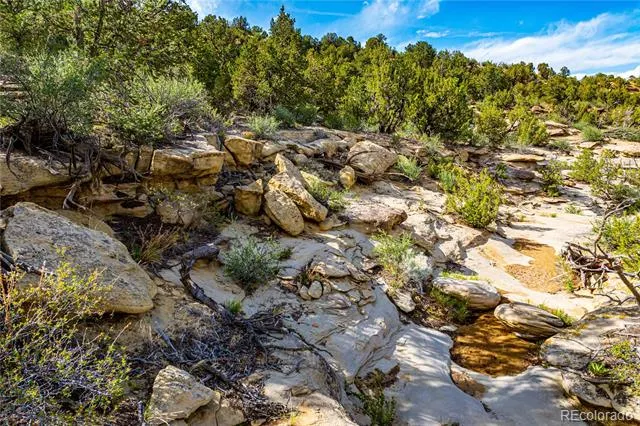 TBD L Bandito Trail Florence, CO 81226