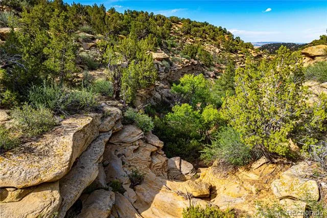TBD L Bandito Trail Florence, CO 81226