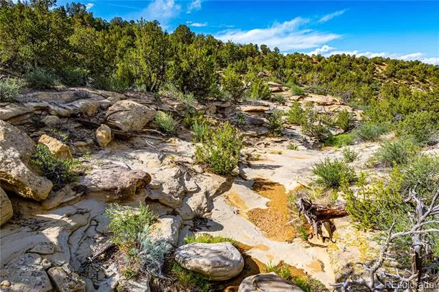 TBD L Bandito Trail Florence, CO 81226