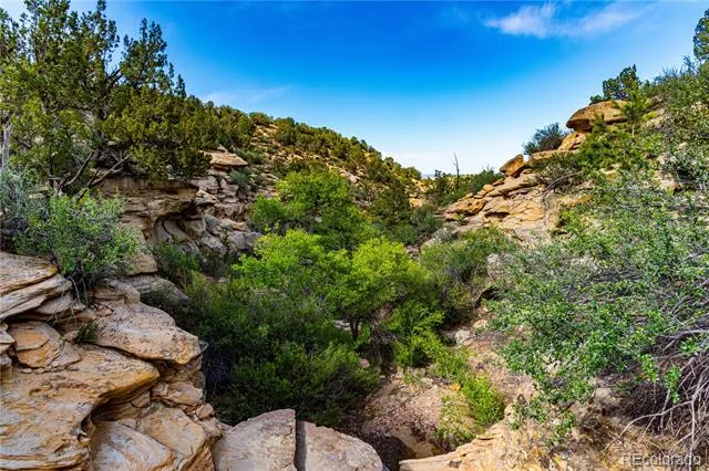 TBD L Bandito Trail Florence, CO 81226