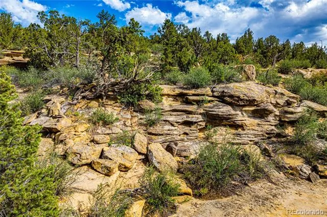 TBD L Bandito Trail Florence, CO 81226