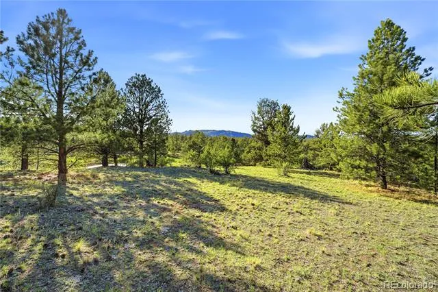 Doe Valley Road Guffey, CO 80820