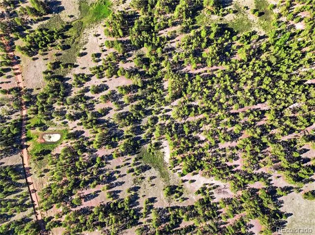 Doe Valley Road Guffey, CO 80820