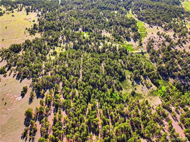 Doe Valley Road Guffey, CO 80820
