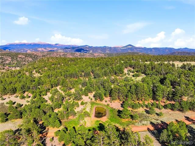 Doe Valley Road Guffey, CO 80820