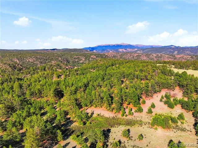 Doe Valley Road Guffey, CO 80820