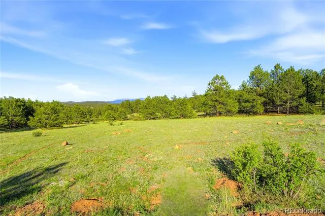 Doe Valley Road Guffey, CO 80820