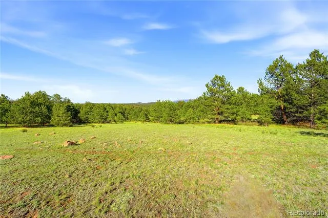 Doe Valley Road Guffey, CO 80820