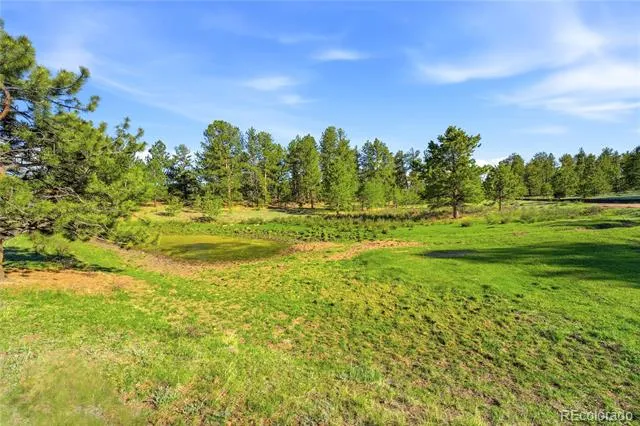 Doe Valley Road Guffey, CO 80820