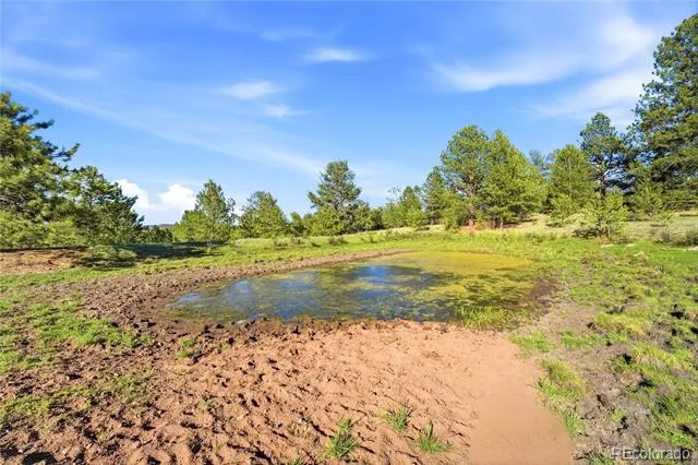 Doe Valley Road Guffey, CO 80820