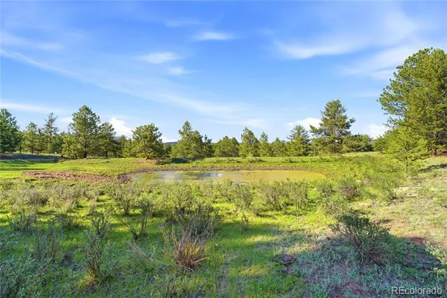 Doe Valley Road Guffey, CO 80820