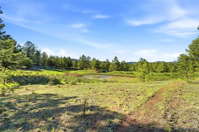 Doe Valley Road Guffey, CO 80820