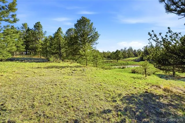Doe Valley Road Guffey, CO 80820
