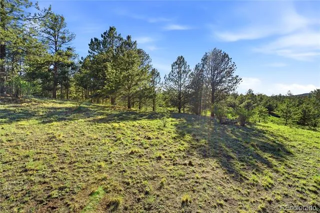 Doe Valley Road Guffey, CO 80820