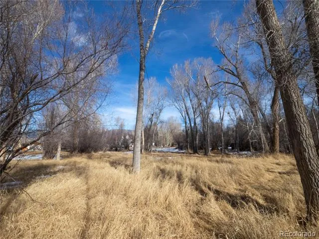 Tee Road Buena Vista, CO 81211