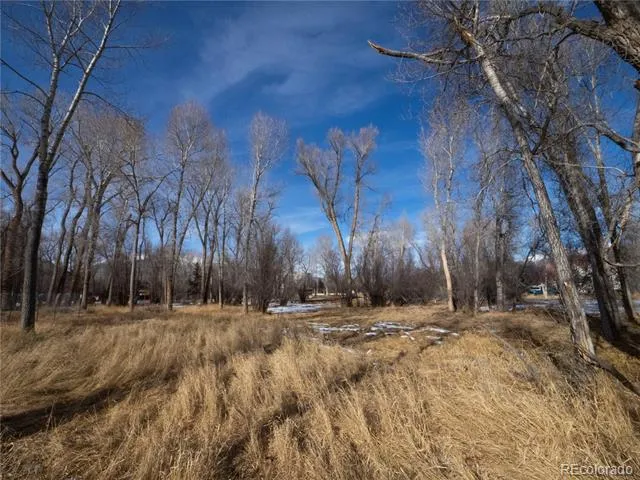 Tee Road Buena Vista, CO 81211