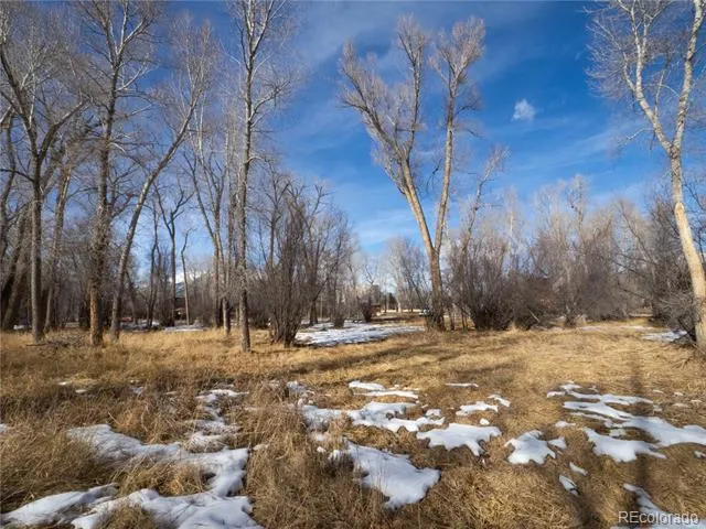Tee Road Buena Vista, CO 81211
