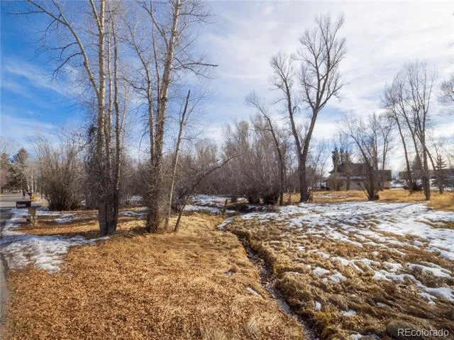 Tee Road Buena Vista, CO 81211
