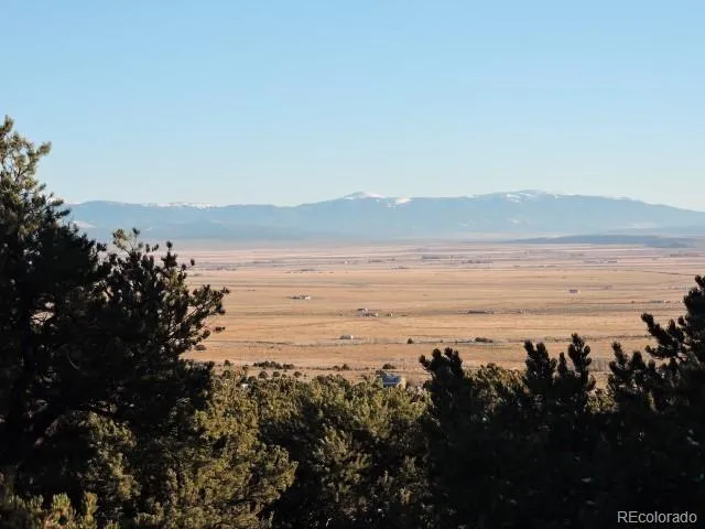 Lot 9 Cedar Avenue Blanca, CO 81123