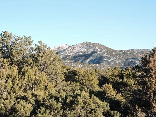 Lot 9 Cedar Avenue Blanca, CO 81123