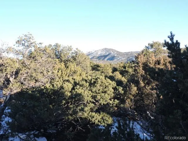 Lot 9 Cedar Avenue Blanca, CO 81123