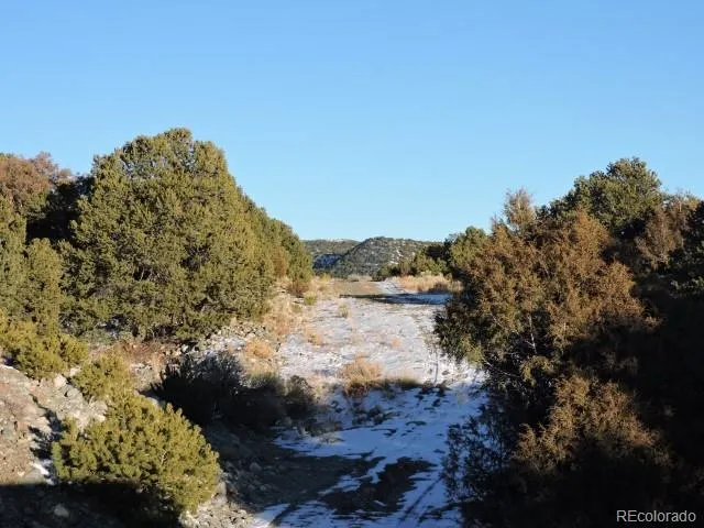 Lot 9 Cedar Avenue Blanca, CO 81123