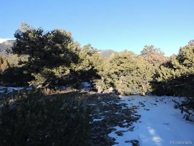 Lot 9 Cedar Avenue Blanca, CO 81123