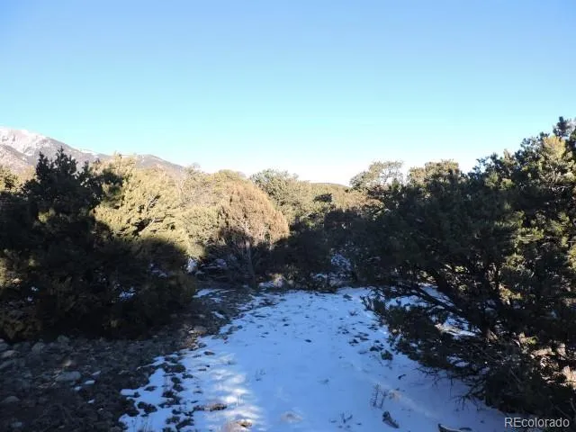 Lot 9 Cedar Avenue Blanca, CO 81123