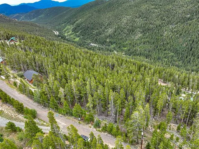 1111 Vista Road Idaho Springs, CO 80452