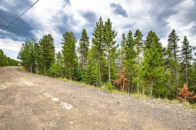 1111 Vista Road Idaho Springs, CO 80452