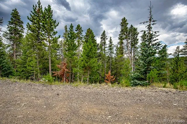 1111 Vista Road Idaho Springs, CO 80452