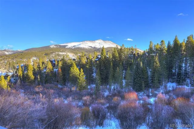 965 Four Oclock Road Breckenridge, CO 80424