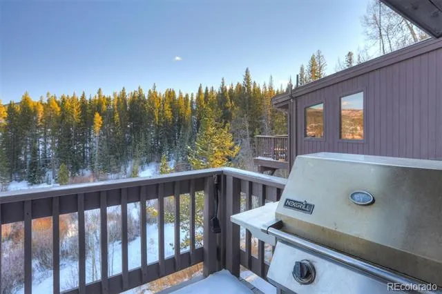 965 Four Oclock Road Breckenridge, CO 80424