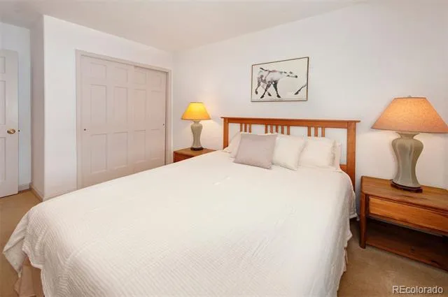 311 S High Street #209 Breckenridge, CO 80424