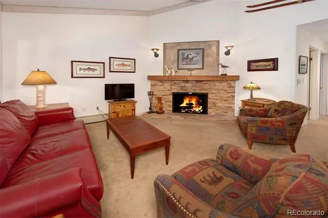 311 S High Street #209 Breckenridge, CO 80424